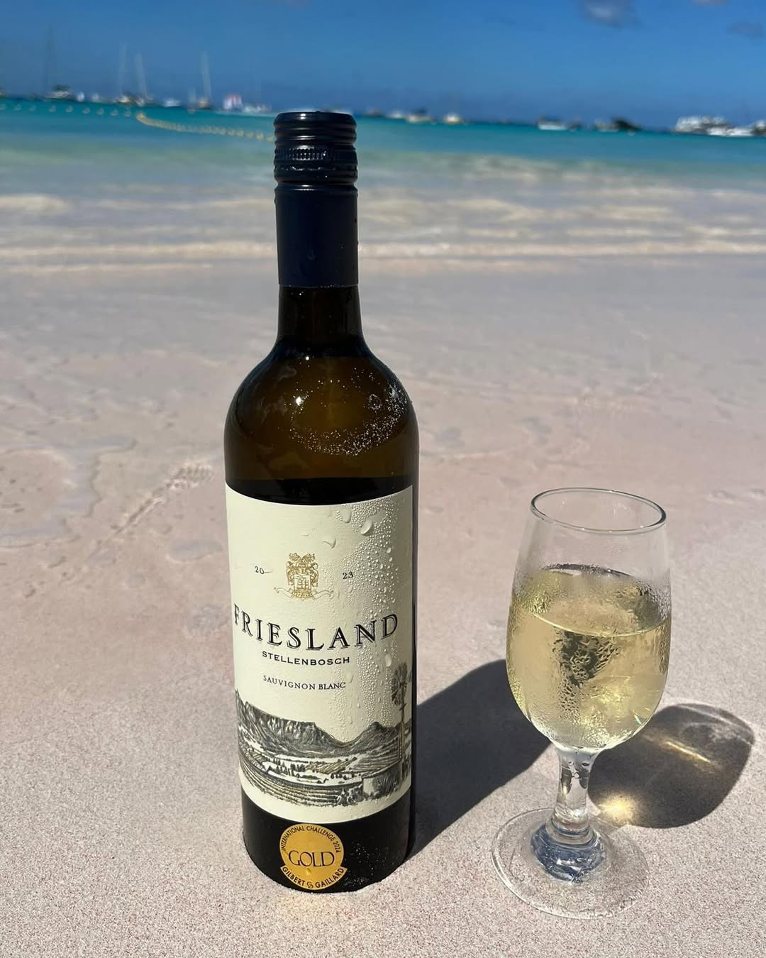 Mix 6 & Save – Friesland Sauvignon Blanc Available This Month