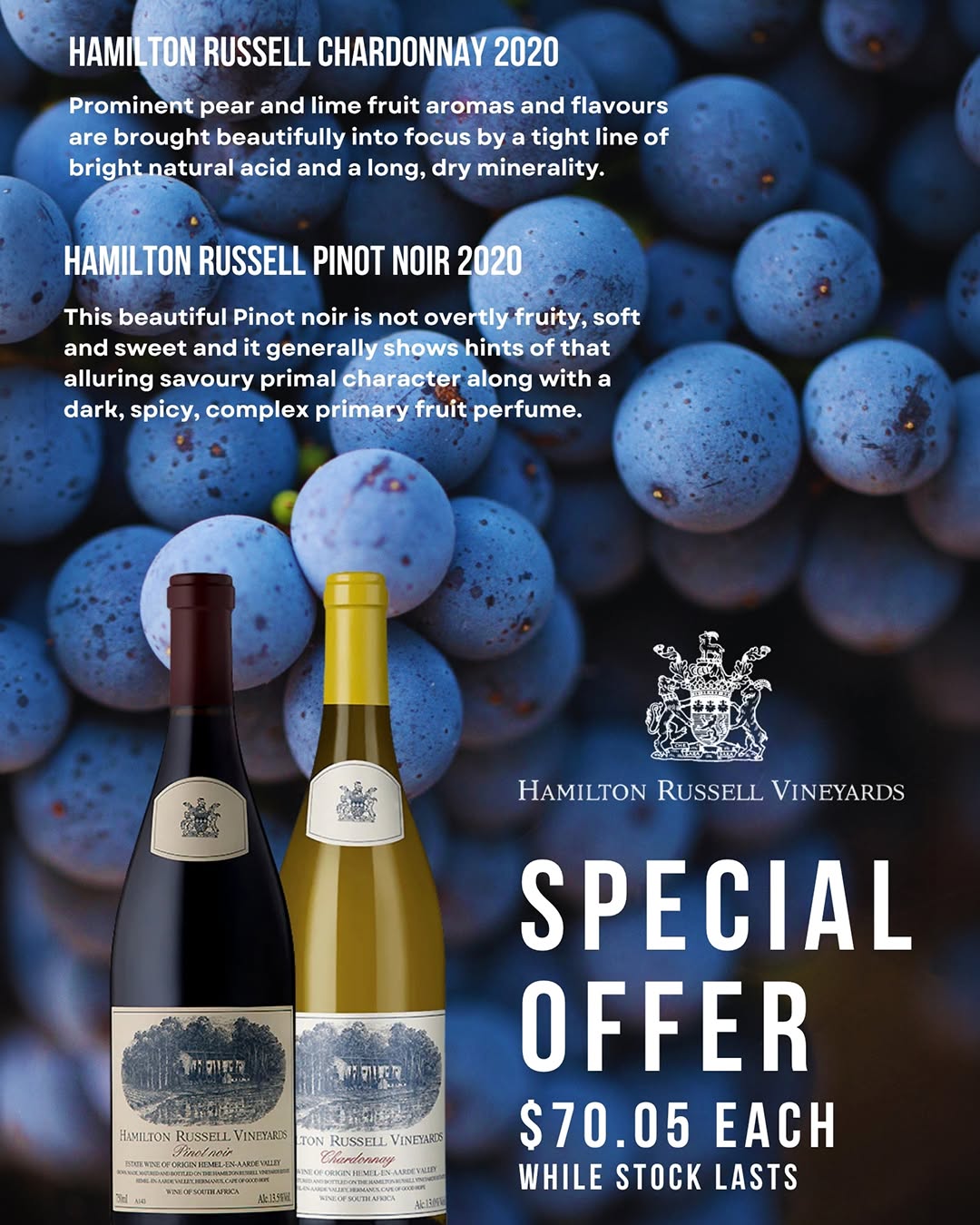 Hamilton Russell Vineyards Special Offer – $70.05 Each While Stock Lasts