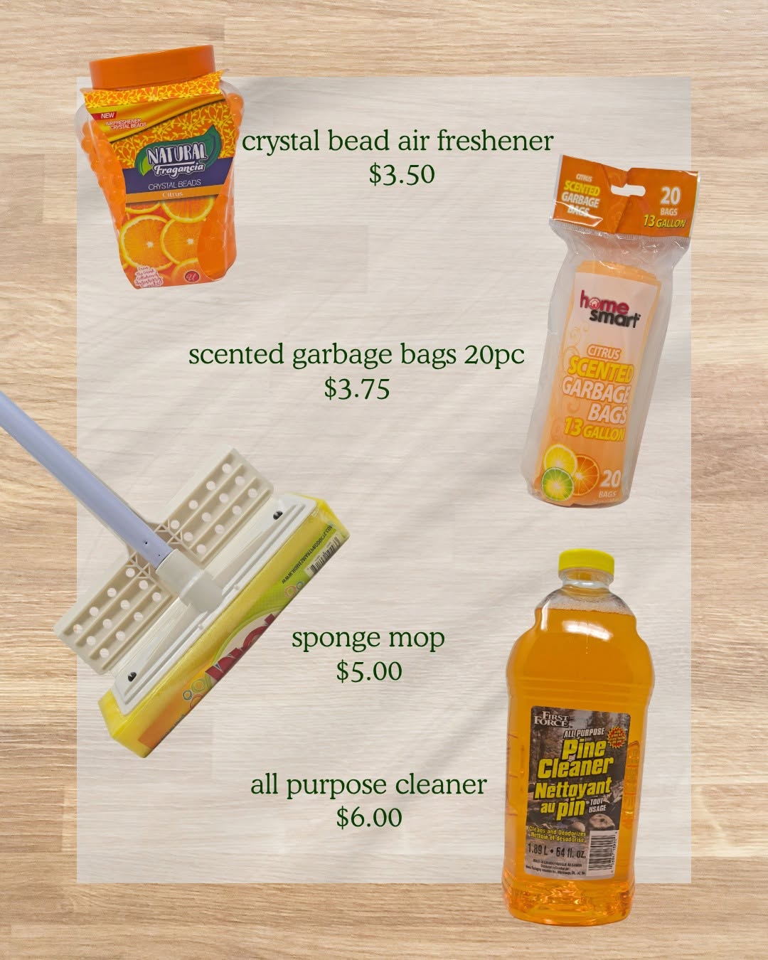 Dollarwise Home Cleaning Products – Priced & Ready to Shop