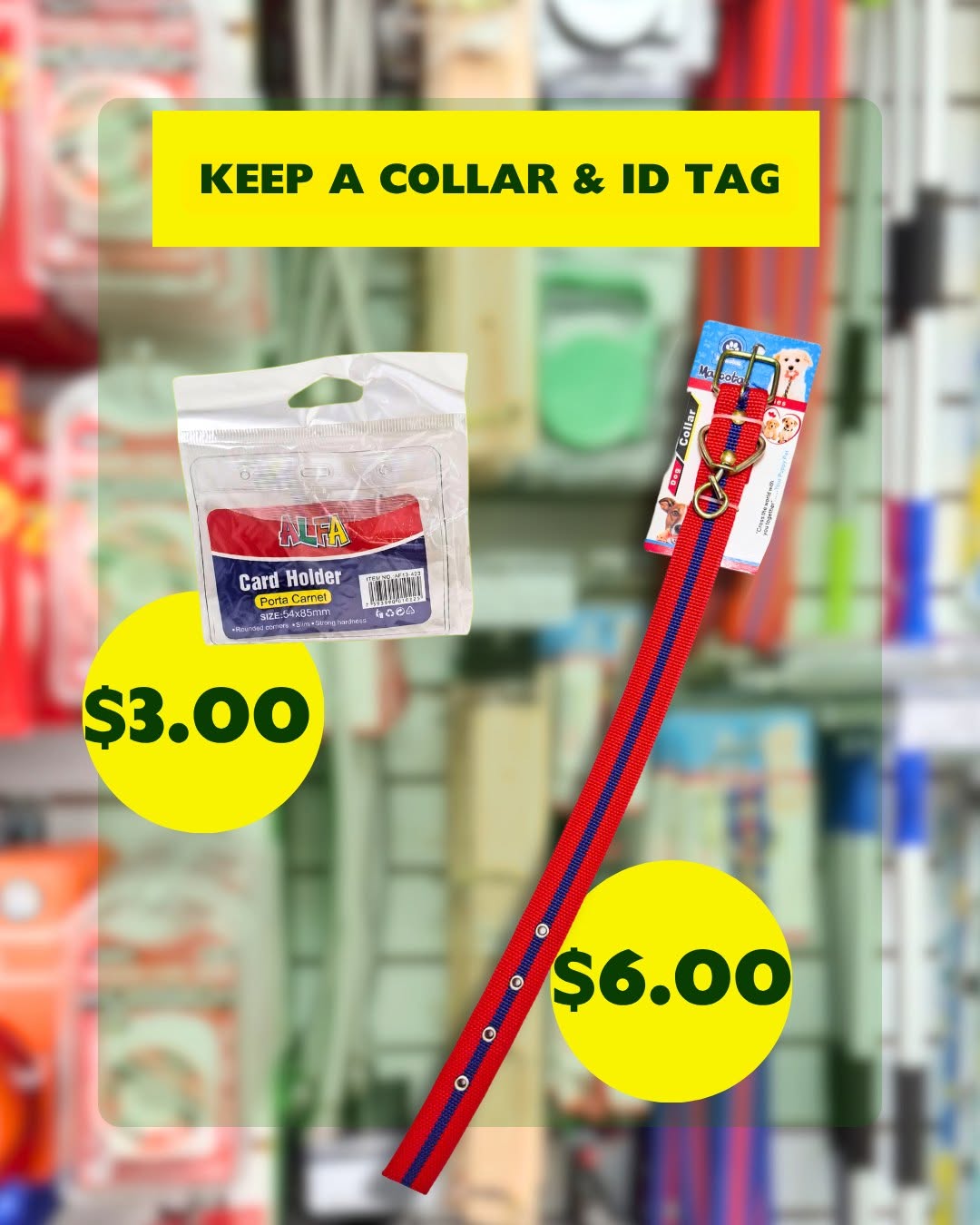 Pet Prep Essentials – Hurricane Season Pet Supplies with Prices