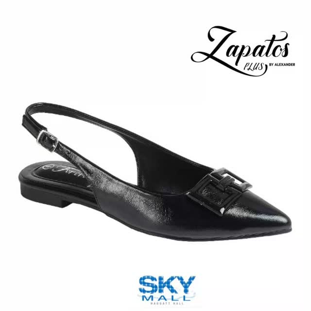 Women's Work Flats at $75 – Zapatos Plus at Sky Mall