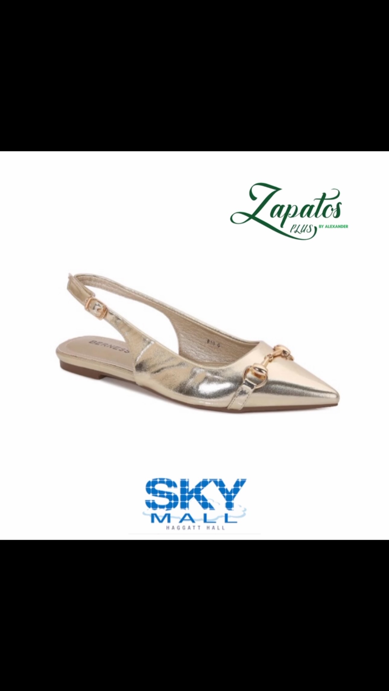 Ballet Flats for Work – $85 | Black, Camel & Gold | Sizes 6–11