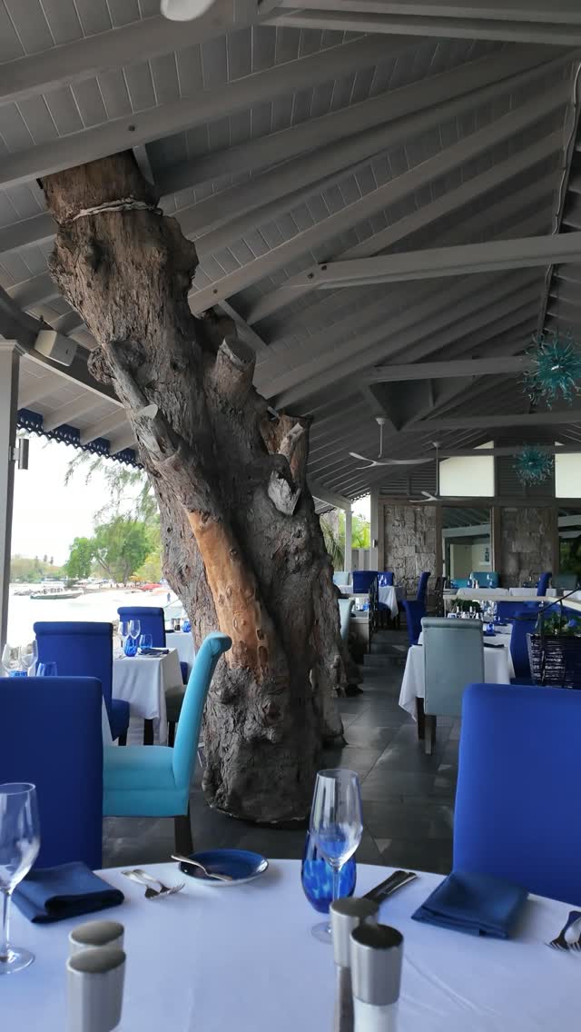 Tides Lunch Special – 2 or 3 Course Island-Style Fine Dining