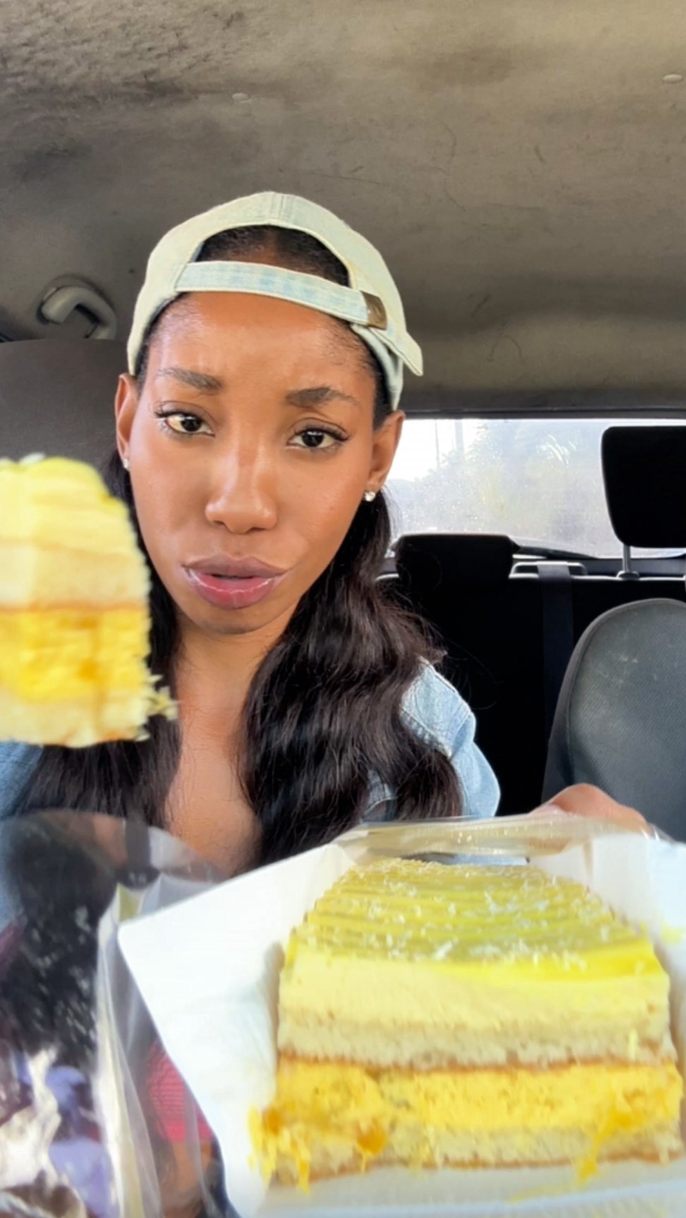 BICO Ice Cream Gourmet Cakes at Sale Price – Until May 11th