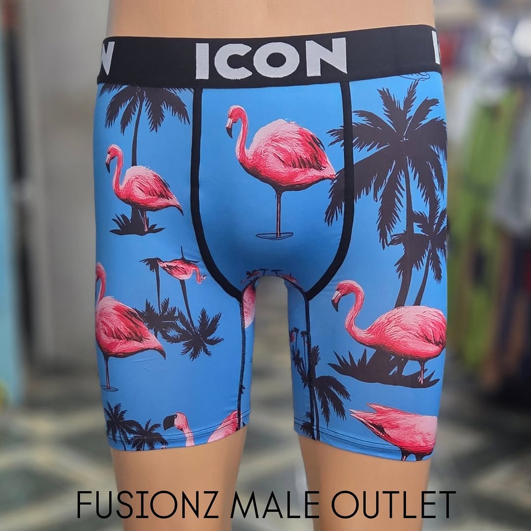 ICON Boxer Briefs - $15 each (Small to XL) at Fusionz Male Outlet