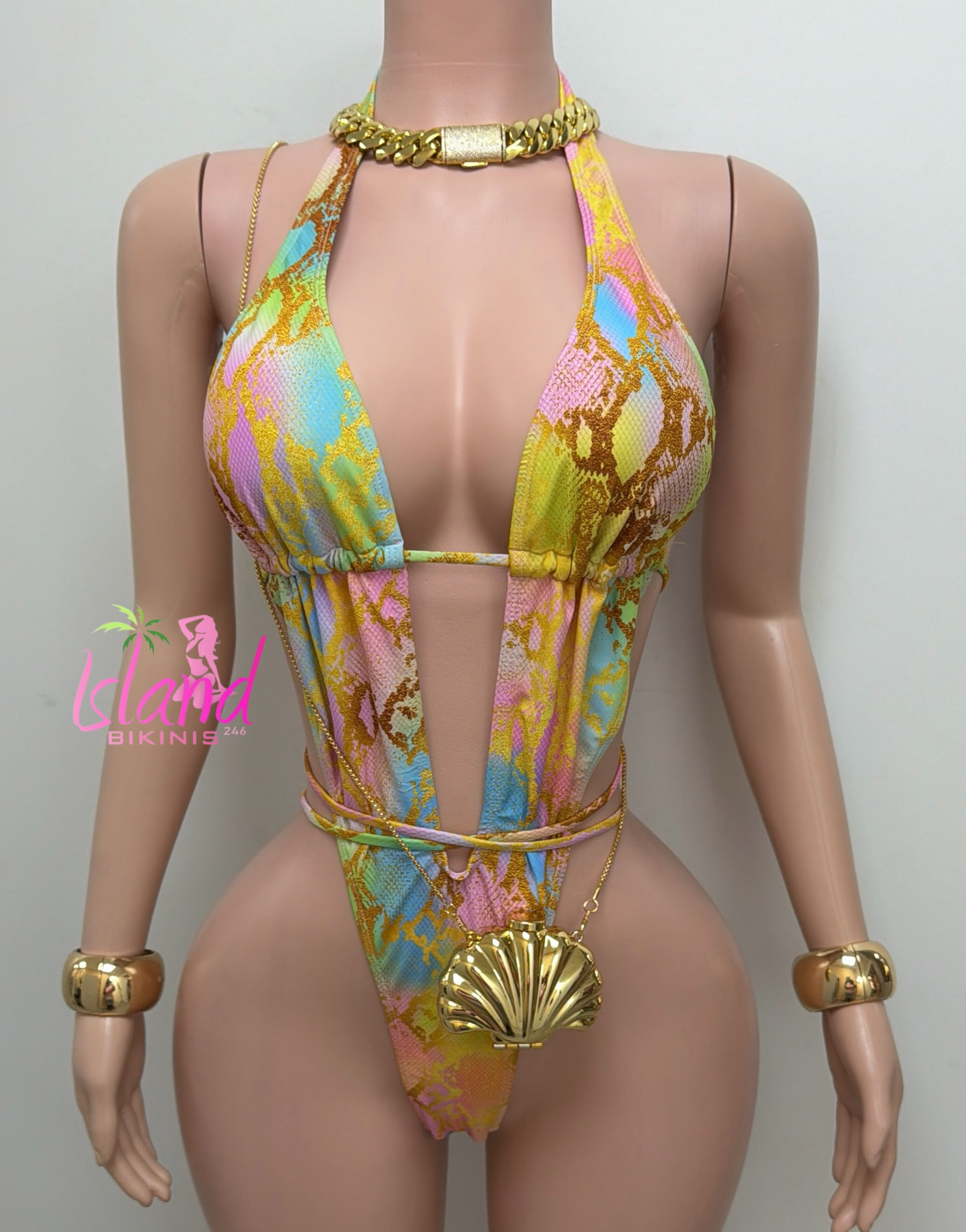 Colourful Monokini with Gold Accessories – $75 BDS