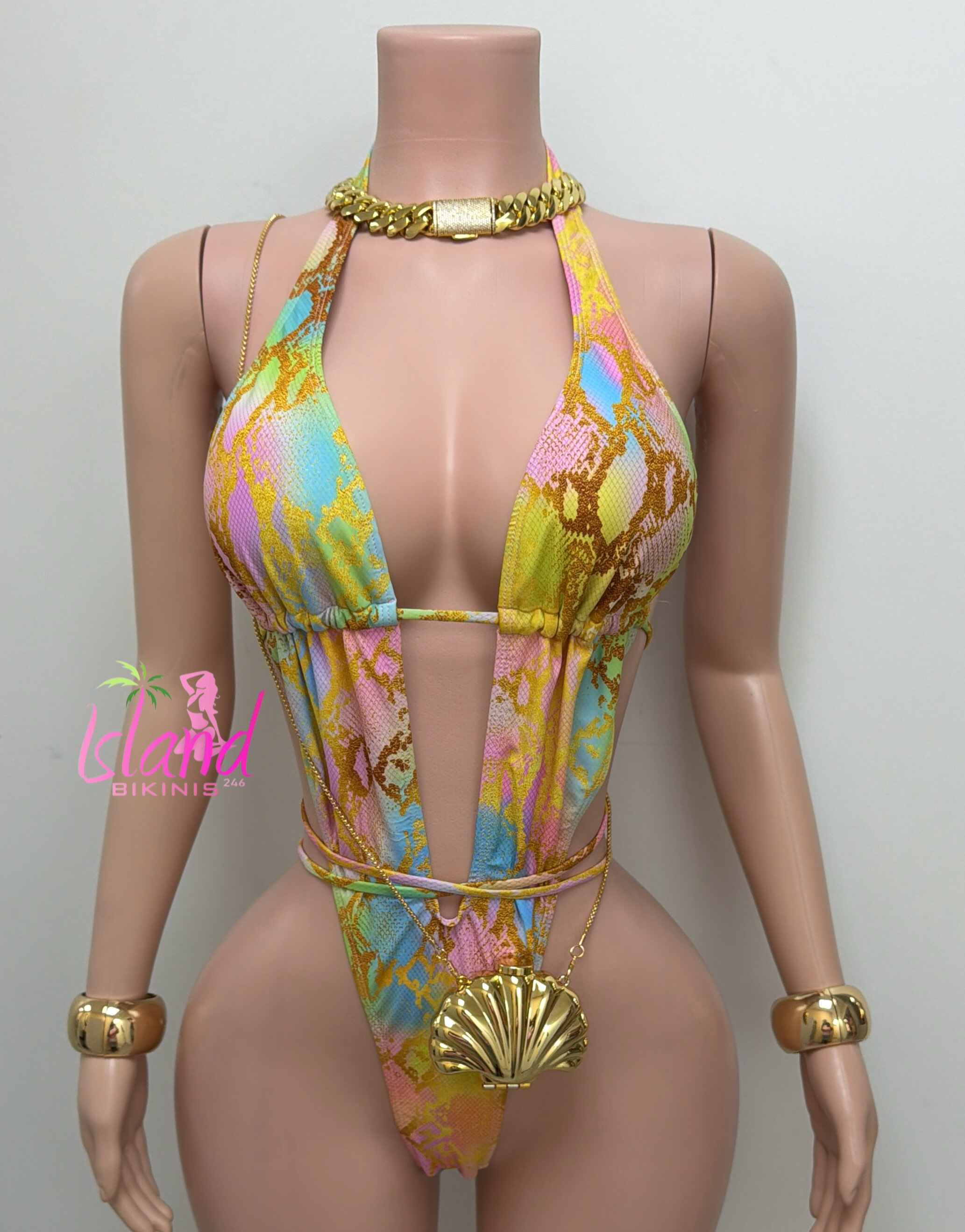 Colourful Monokini with Gold Accessories – $75 BDS