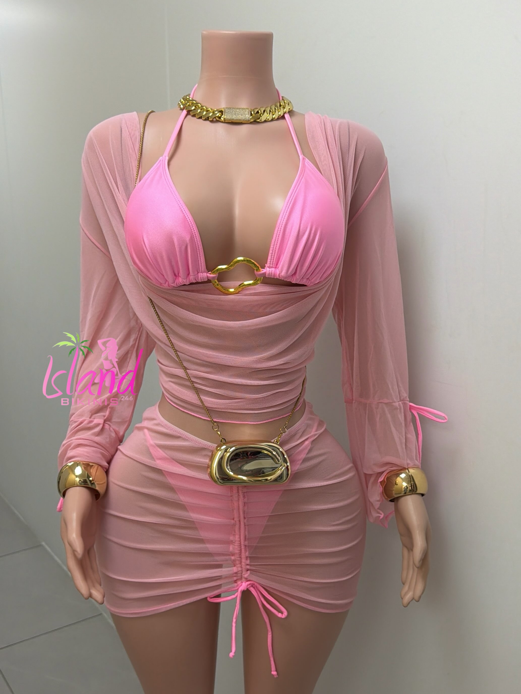 Pink Bikini Set with Gold Accessories – $105 BDS