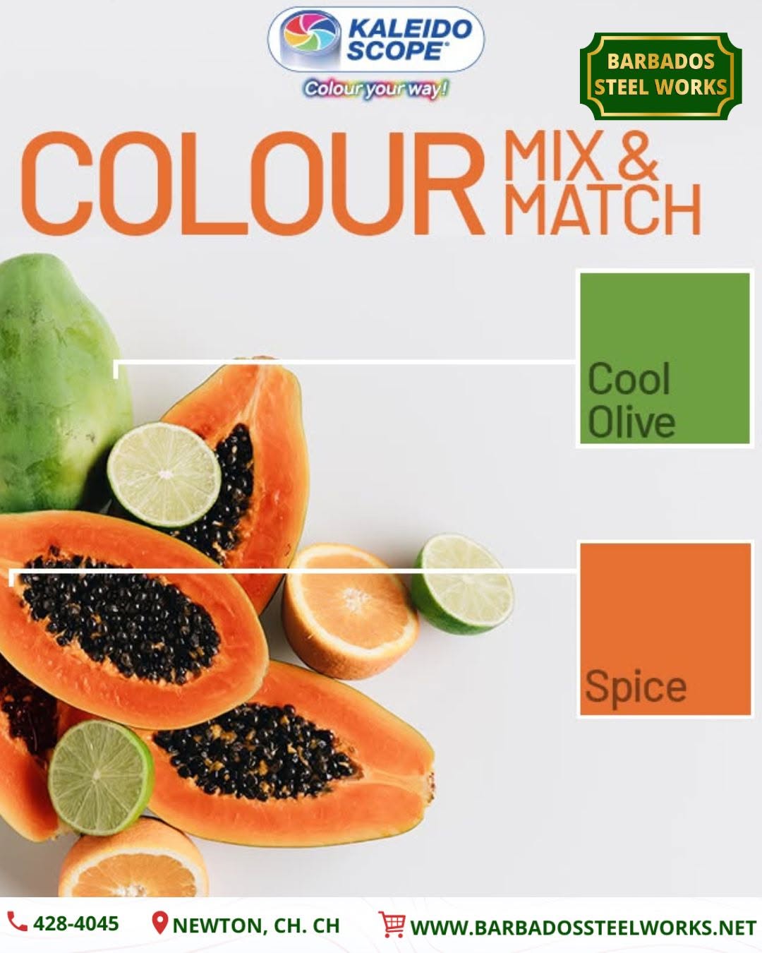 25% Off Kaleido-Scope Paints at Barbados Steel Works