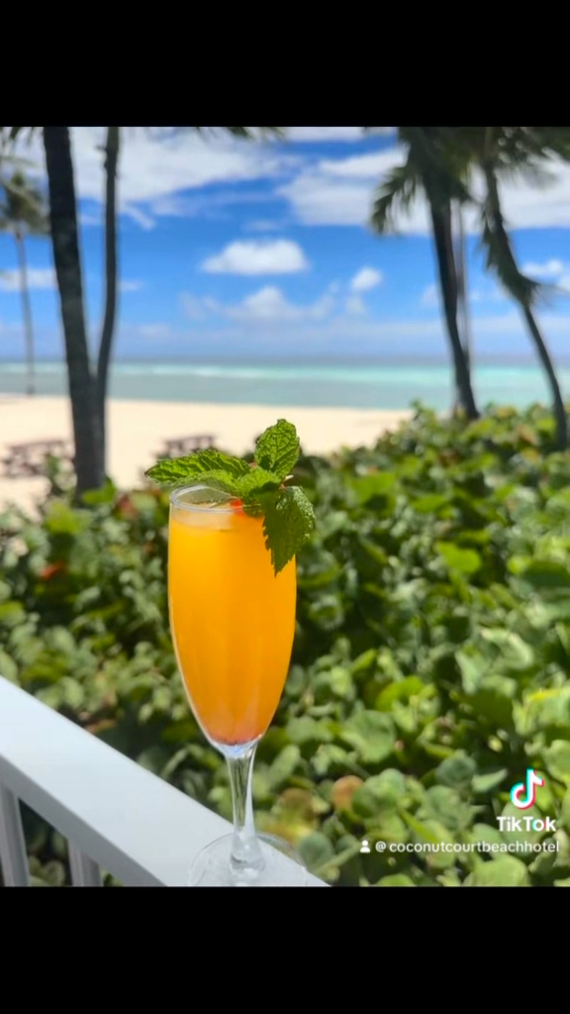 Coconut Court Beach Hotel