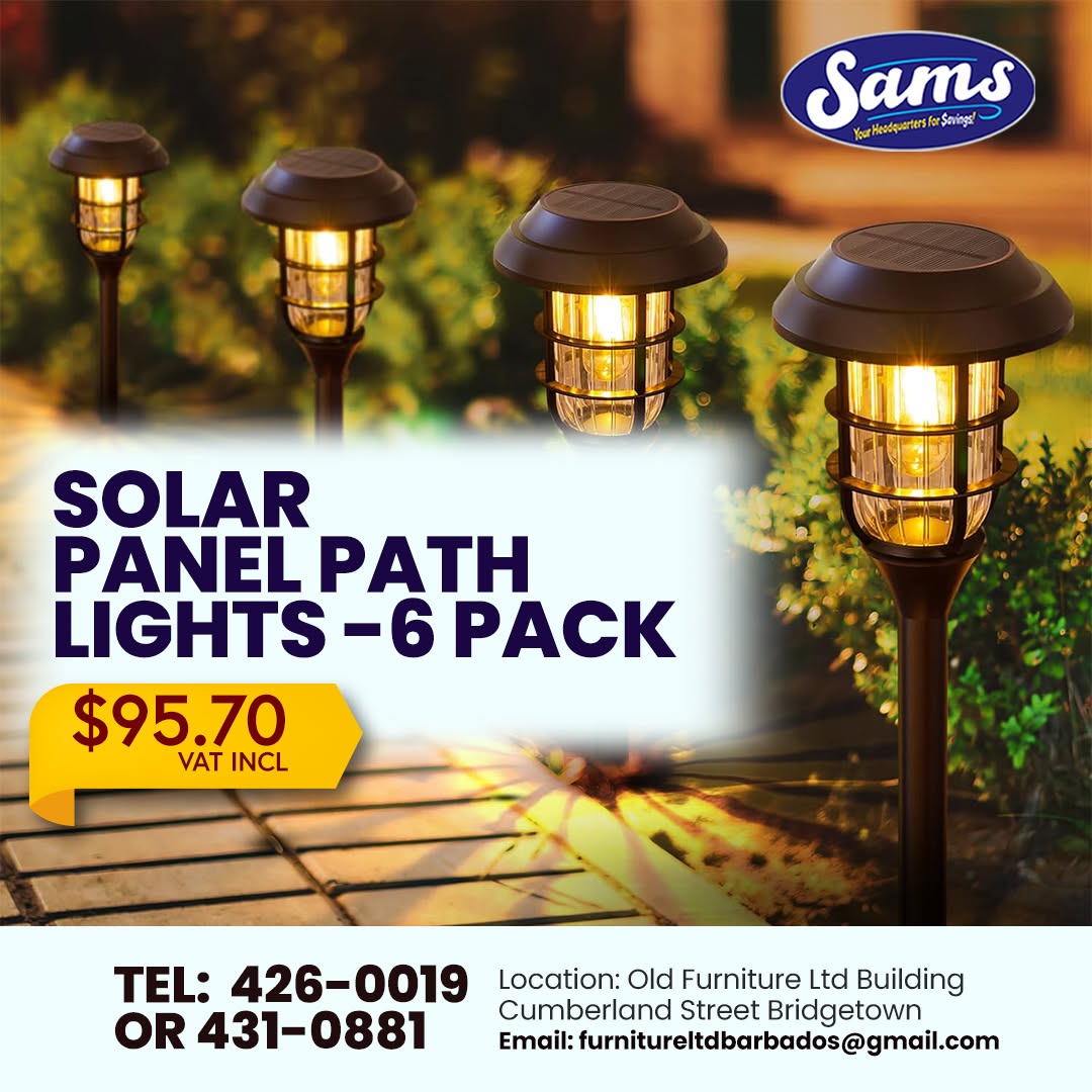 Solar Panel Path Lights 6-Pack – $95.70 VAT Incl.
