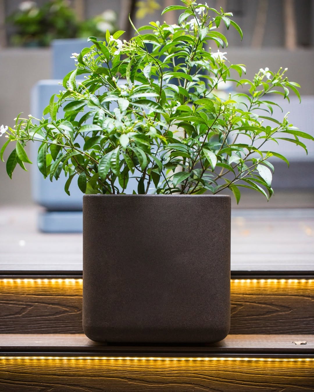 Farm & Garden Shop Barbados