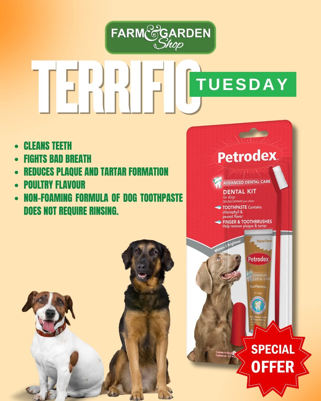 Terrific Tuesday: Petrodex Advanced Dental Care Kit – Was $24.18, Now $21.76