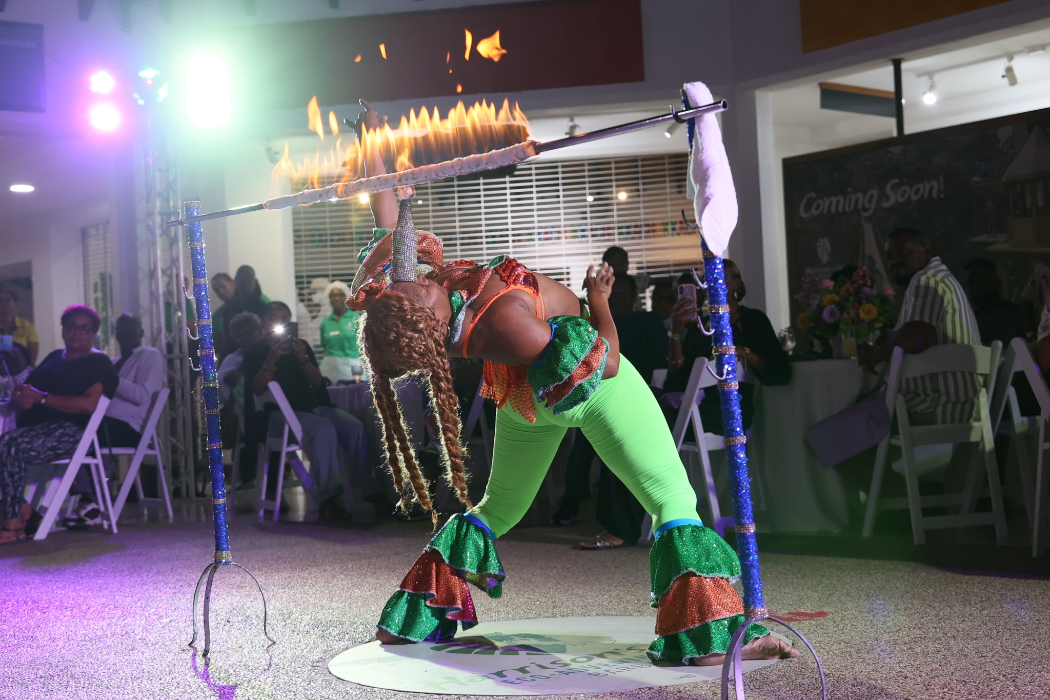 Historic Evening Tram Tour & Dinner Show at Harrison's Cave – US$150