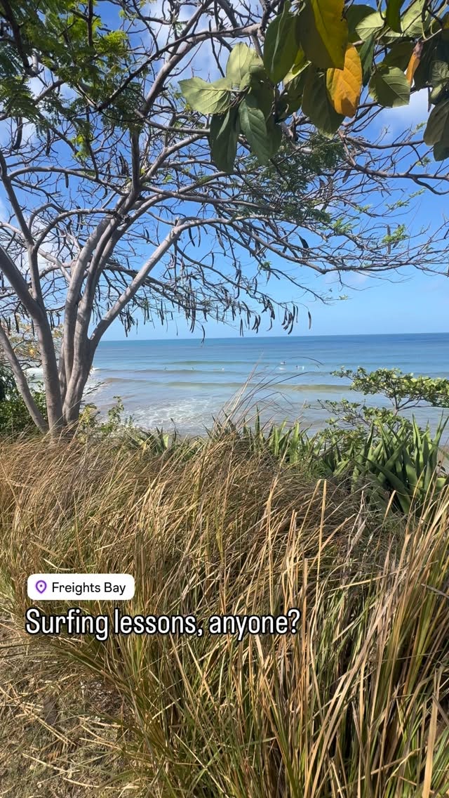 Ride The Tide Surf School