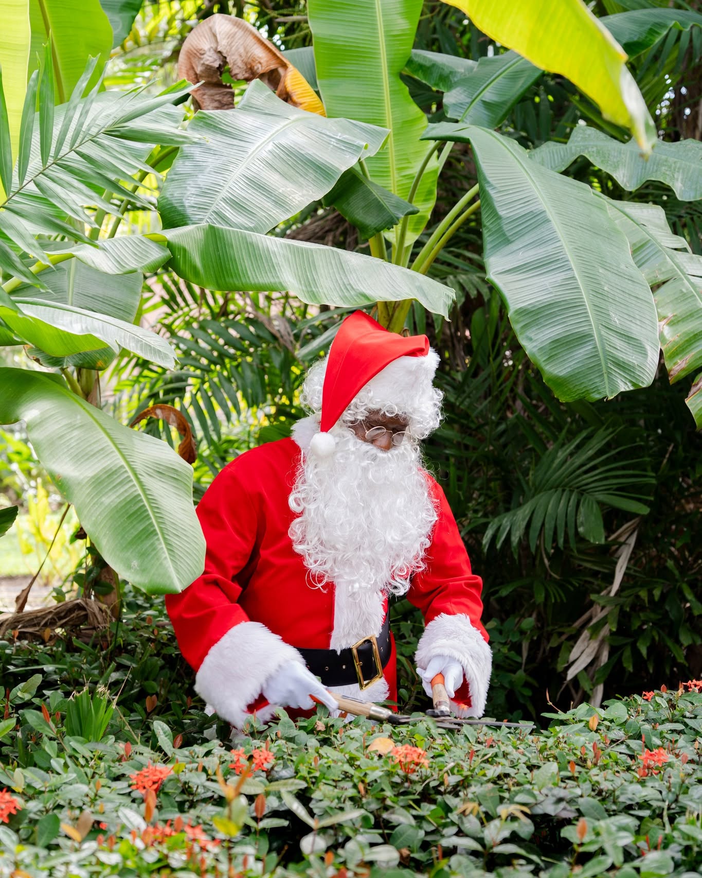 Christmas in July at Fairmont Royal Pavilion – Cinema & Painting Events