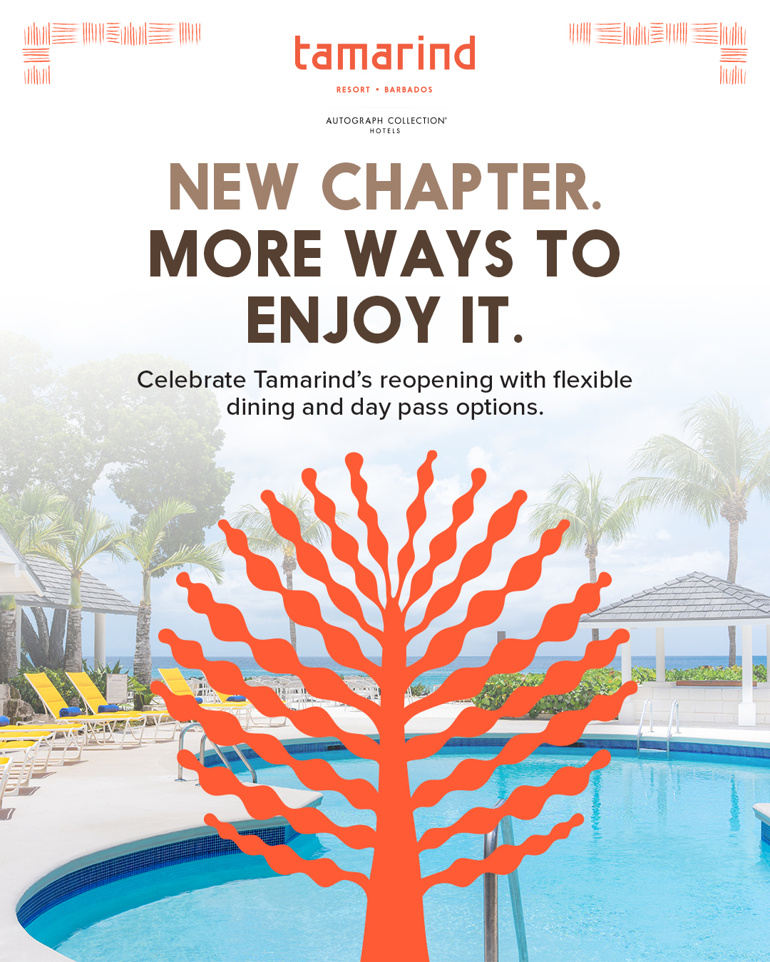 Tamarind Resort Day Passes – Breakfast, Lunch, Dinner & All-Inclusive from BBD $110