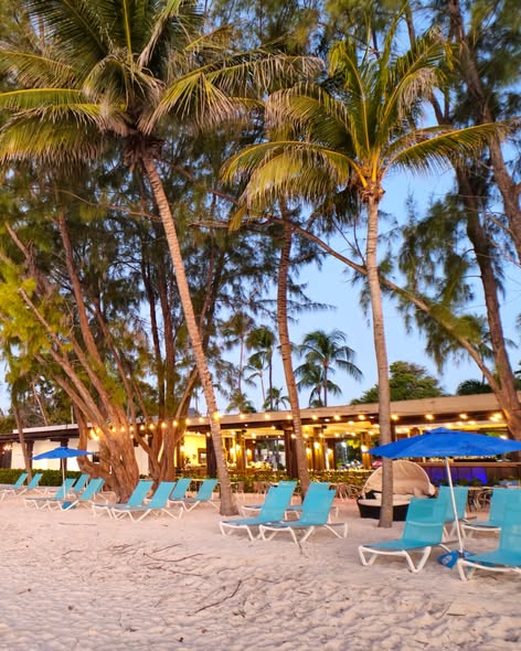 Toasted Sundays at pureocean – 3-Course Beachfront Brunch with Bottomless Mimosas