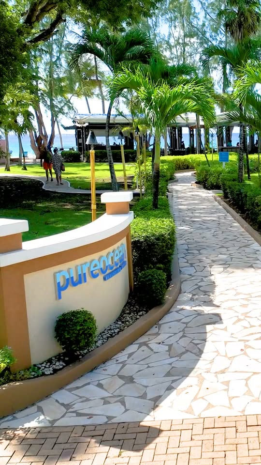 pureocean Restaurant: Sunday Brunch, Happy Hours & Grab-and-Go at Divi Southwinds