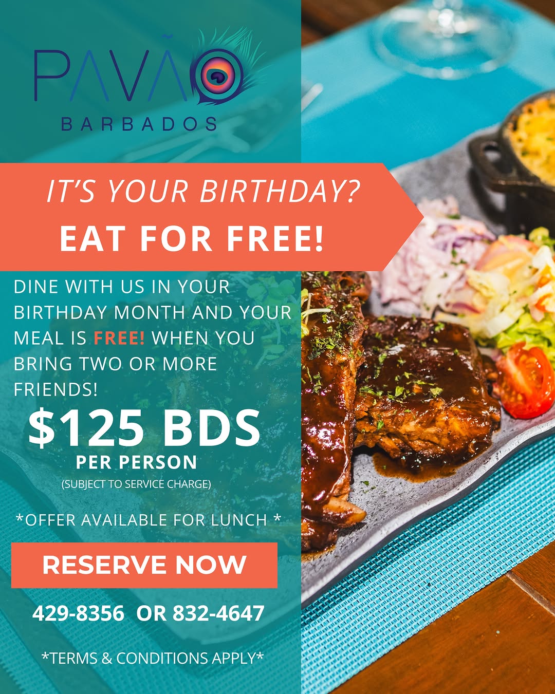 Pavão Barbados Weekend Dining: Buffet Breakfast, Lunch & Brunch Vibes