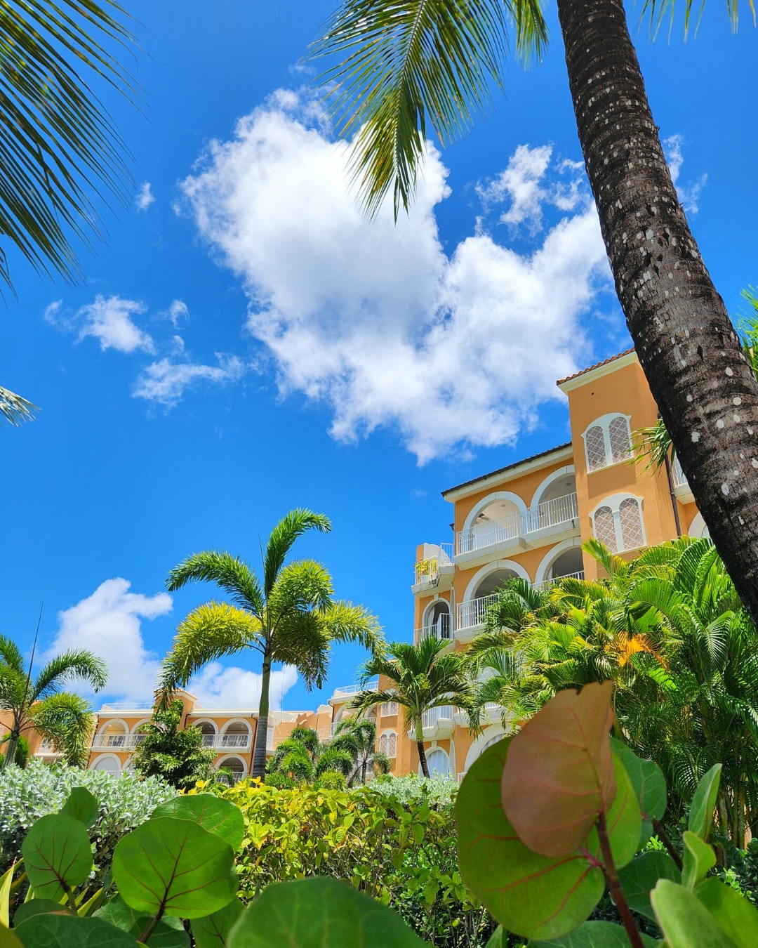 Saint Peter's Bay Barbados