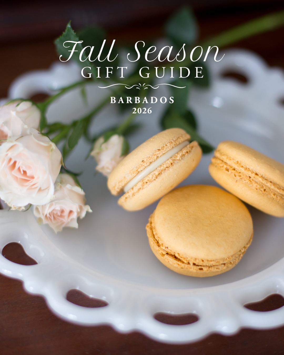 Fall Season Gift Guide – Macaron Collections & More