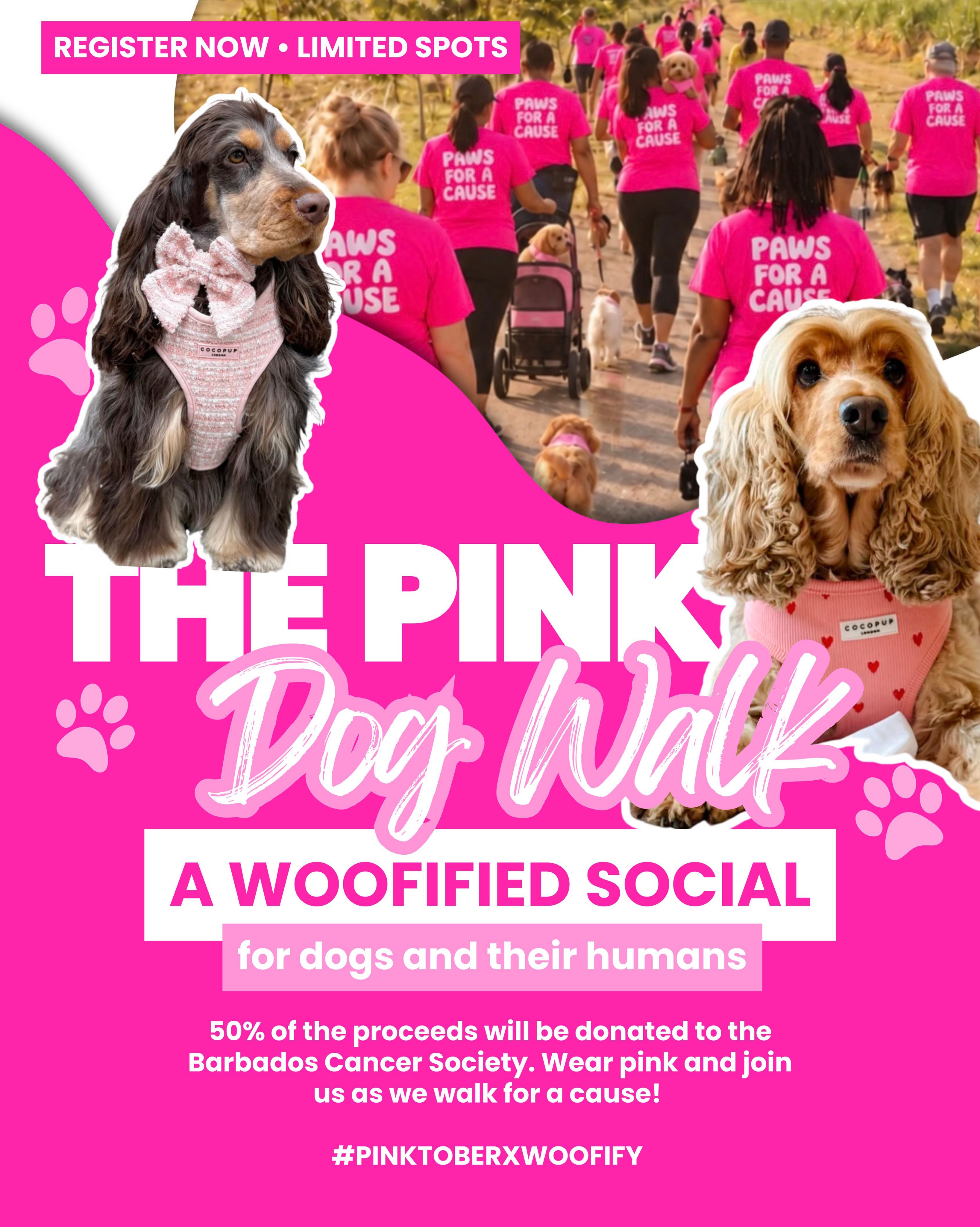 Woofify Pinktober Pink Dog Walk – A Woofified Social for Dogs & Their Humans