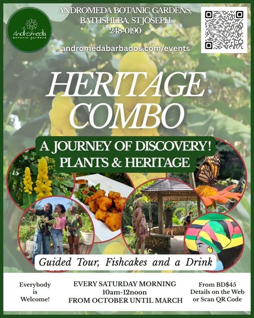 Heritage Combo: Guided Tour, Fishcakes & a Drink at Andromeda Botanic Gardens