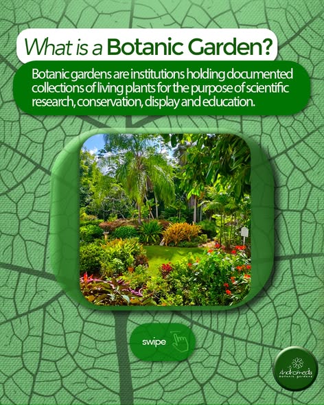 Free Entry for Barbadian Nationals at Andromeda Botanic Gardens