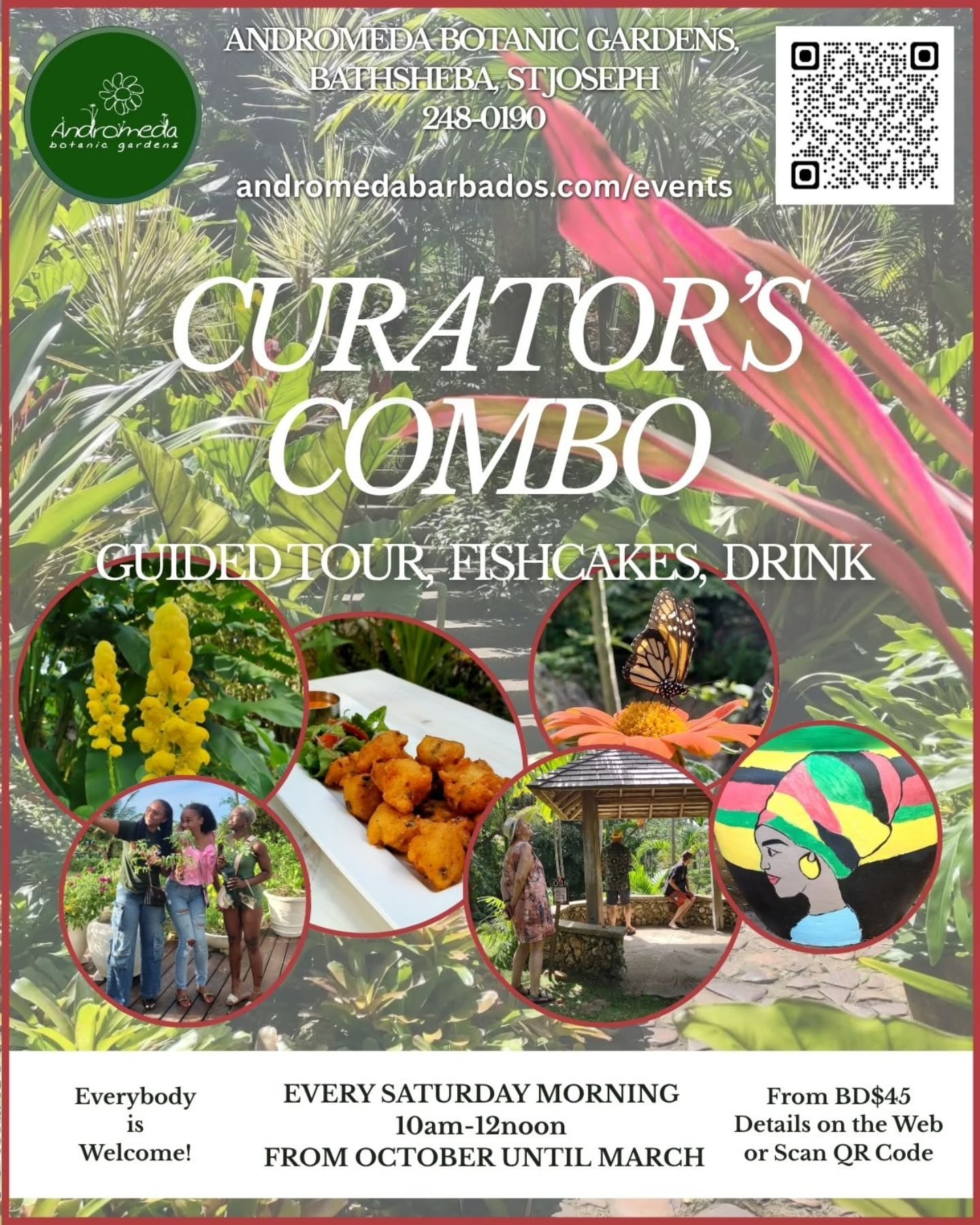 Curator's Combo: Guided Tour, Fishcakes & Drink from BD$45