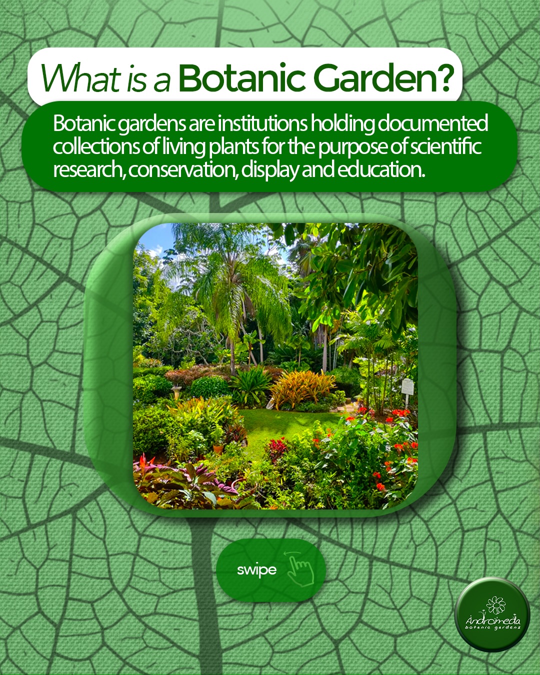 Free Entry for Barbadian Nationals at Andromeda Botanic Gardens