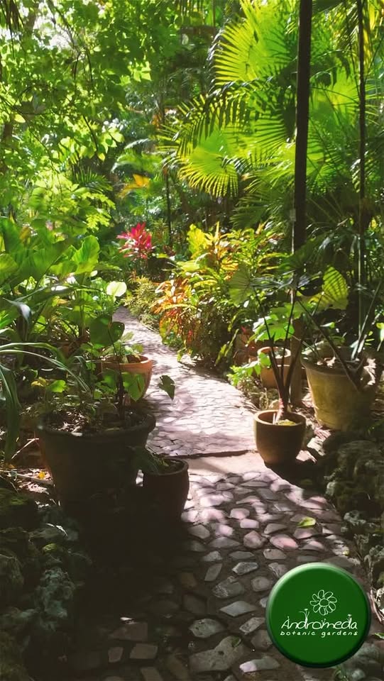 Locals Are Free at Andromeda Botanic Gardens