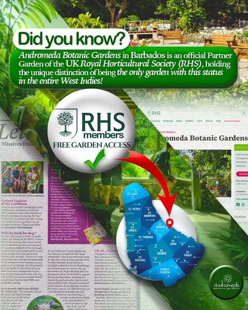 Free Garden Access for RHS Members at Andromeda Botanic Gardens