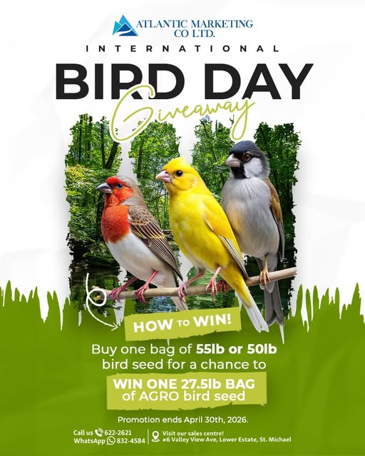 International Bird Day Giveaway – Buy Bird Seed, Win a Free Bag