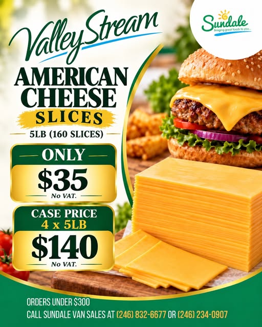 Valley Stream American Cheese Slices – 5LB for $35 (No VAT) | Case $140