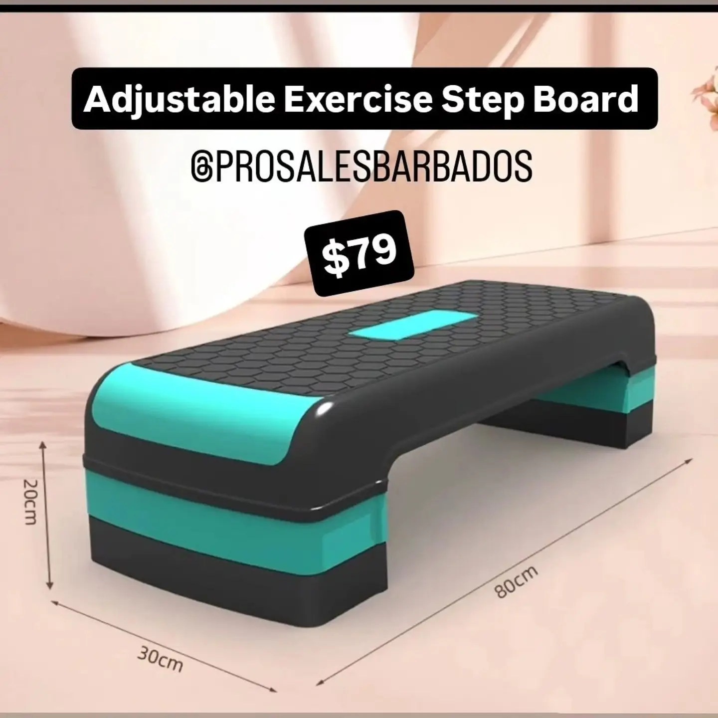 Pro Sales Barbados – Adjustable Exercise Step Board ($79) & USB Makeup Brush Cleaner ($15)