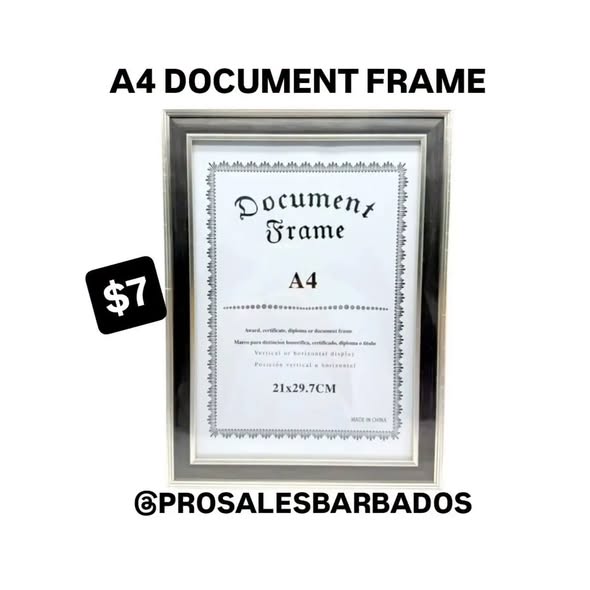 Pro Sales Barbados: Beauty Mirrors $5, Trimmer Set $39, A4 Document Frame $7