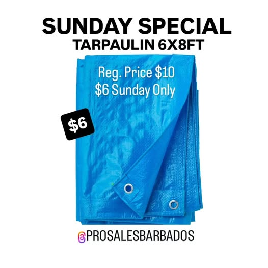 Sunday Special – Tarpaulin 6x8ft for $6 (Reg. $10)