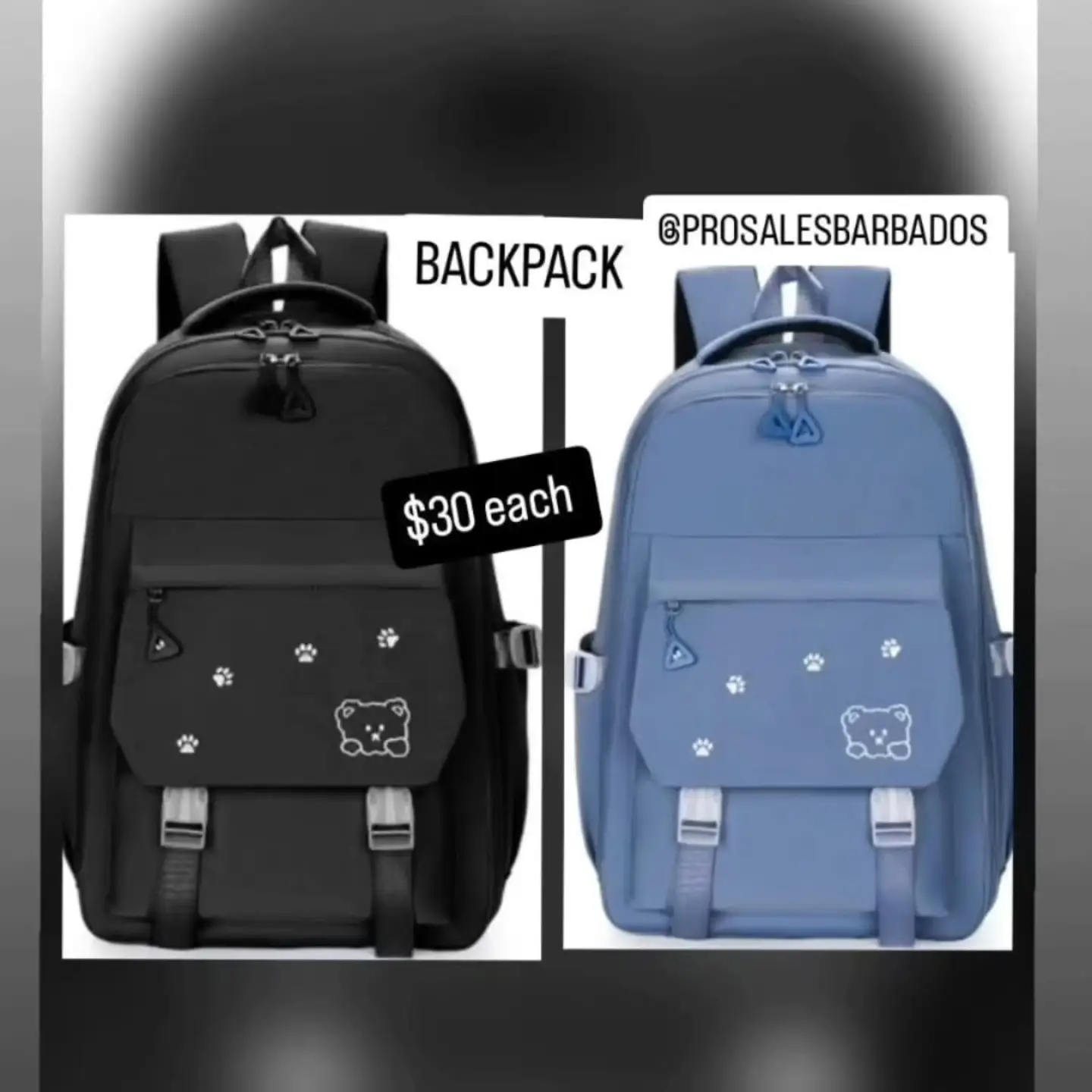 Backpack Sale at Pro Sales Barbados – From $10