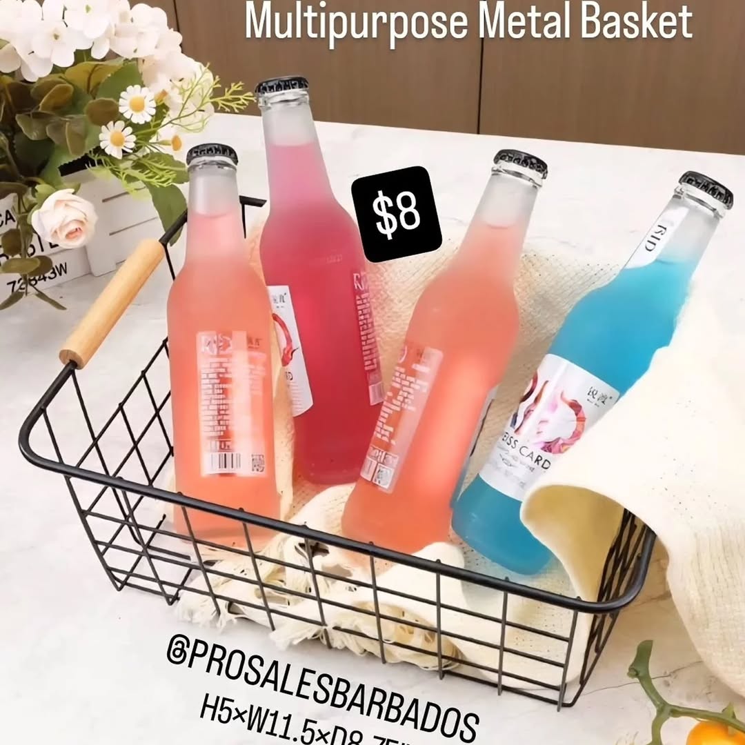 Metal Baskets Sale at Pro Sales Barbados - From $8