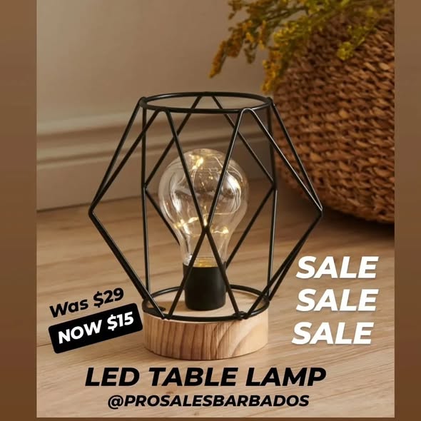 Sale on LED Table Lamp, Fragrance Lamp & Disposable Food Covers at Pro Sales Barbados
