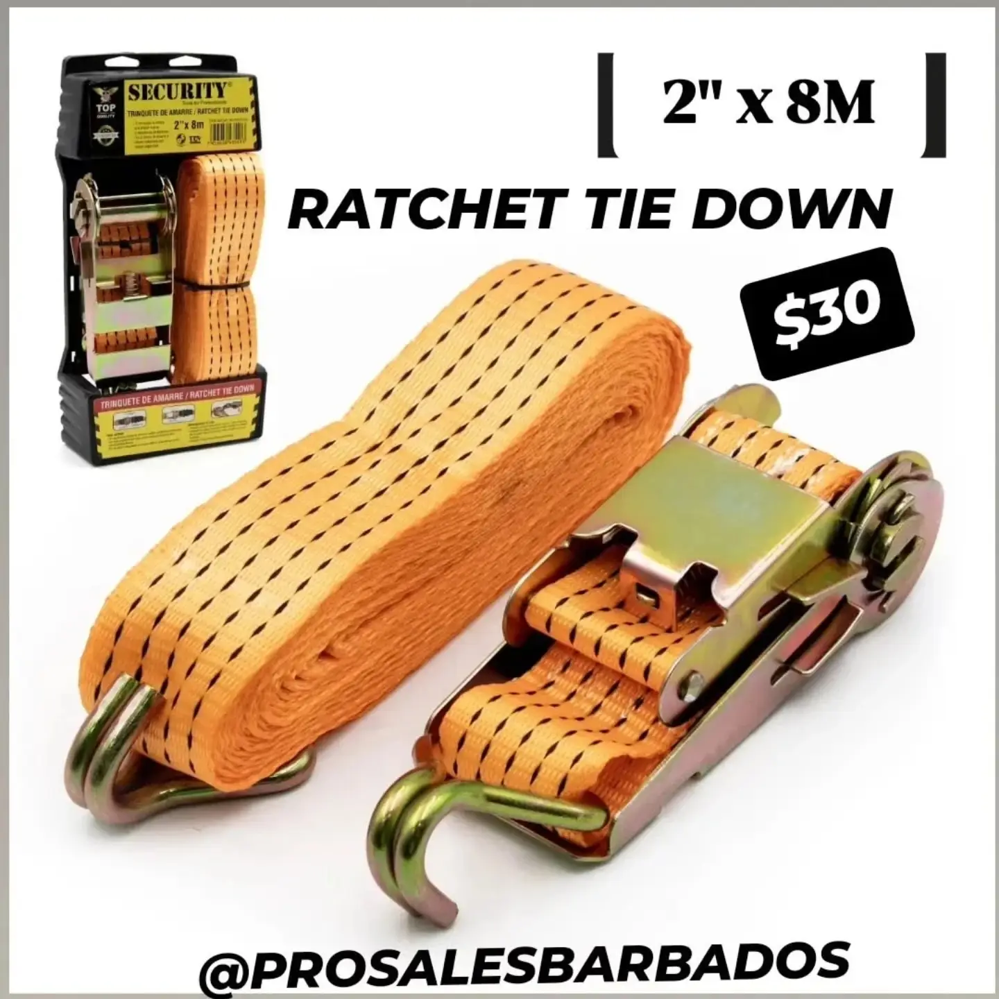 Pro Sales Barbados: Ratchet Tie Down, Motion Sensor & Ceiling Mount Motion Sensor Deals
