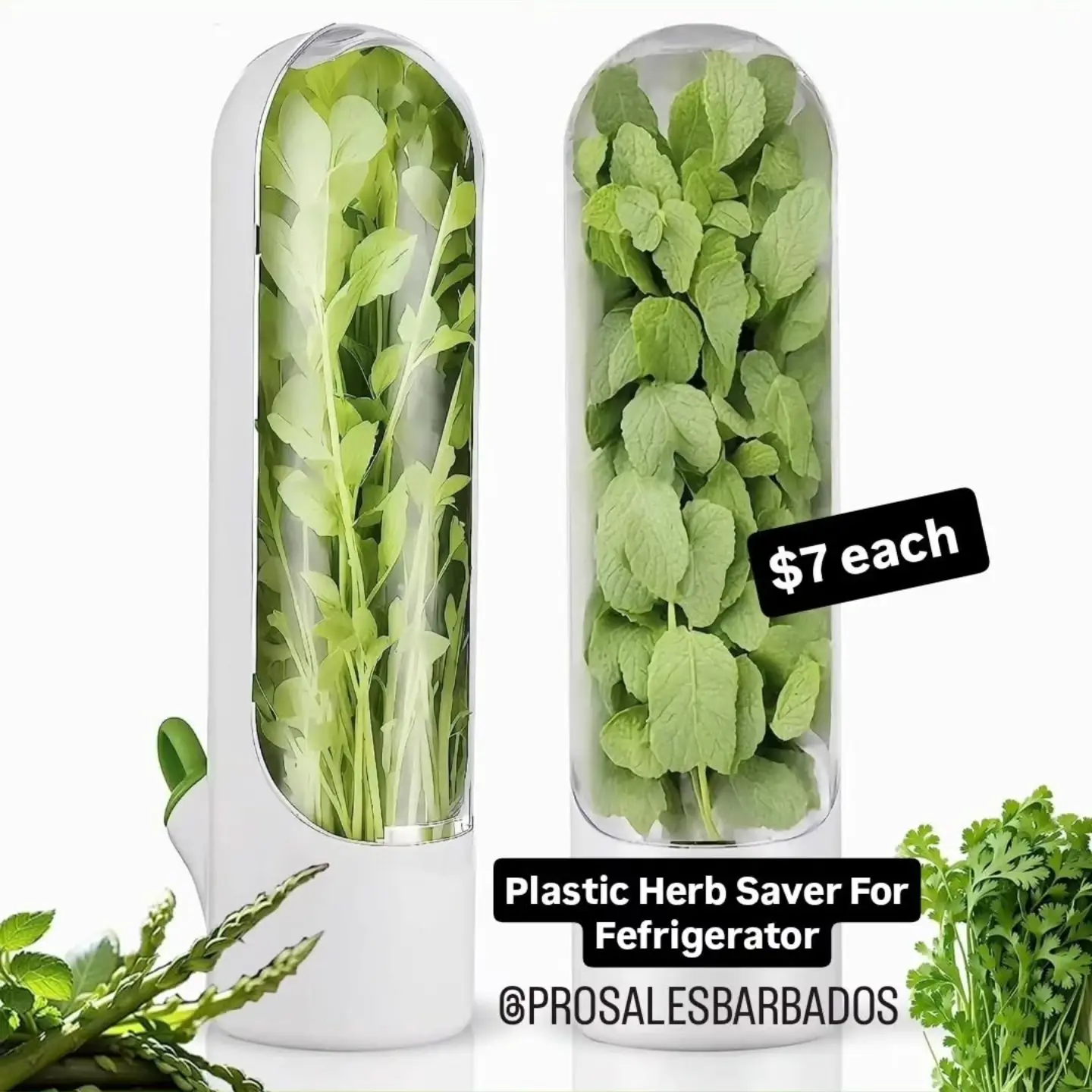 Pro Sales Barbados: Tornado Scrub, Herb Savers & Storage Rack — Multiple Items Available