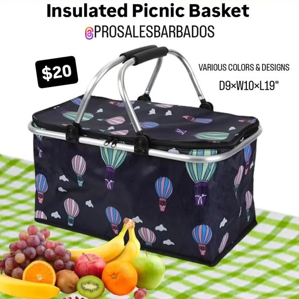 Pro Sales Barbados: Insulated Picnic Basket $20, Folding Chair Sale $39 (Was $59), Scale $20