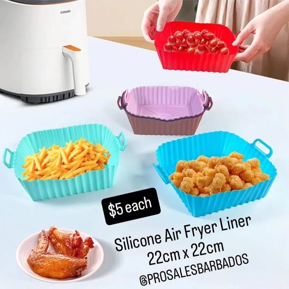 Pro Sales Barbados: Insulated Picnic Basket $20, Folding Chair Sale $39 (Was $59), Scale $20