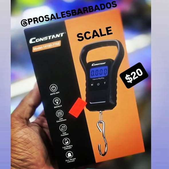 Pro Sales Barbados: Insulated Picnic Basket $20, Folding Chair Sale $39 (Was $59), Scale $20