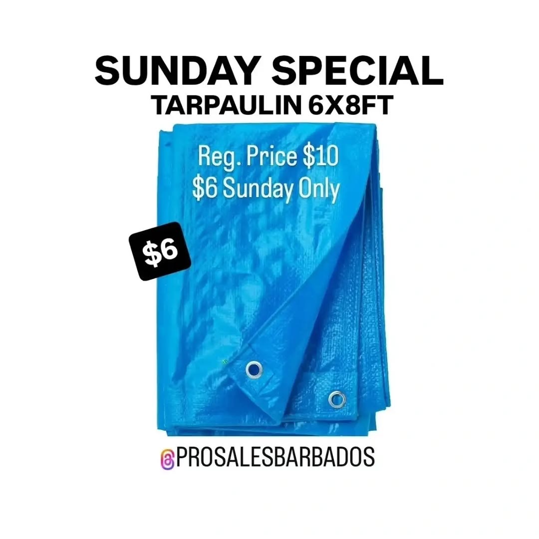 Pro Sales Barbados: Sewing Needle Set $2 & Multipurpose Sponge 2-Pack $2