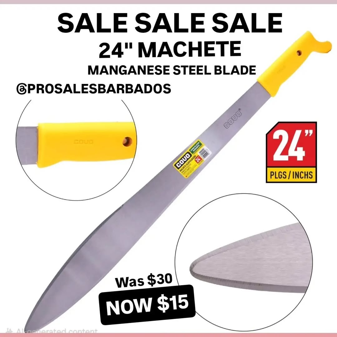 Pro Sales Barbados: Sewing Needle Set $2 & Multipurpose Sponge 2-Pack $2
