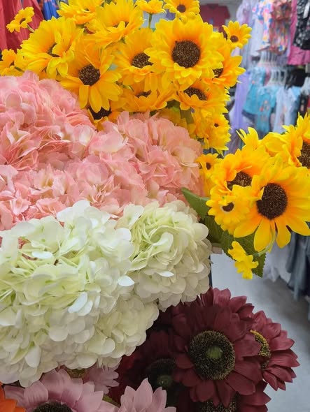 Beautiful Flowers Starting from $6.99 at S.Y. Adam & Son