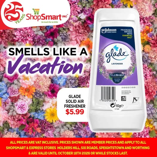 Glade Solid Air Freshener (Lavender) – $5.99
